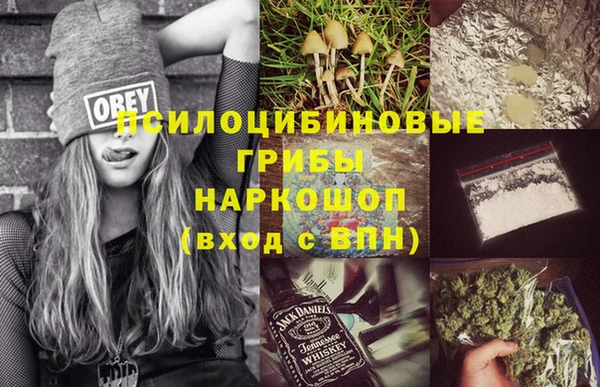 тгк Осташков