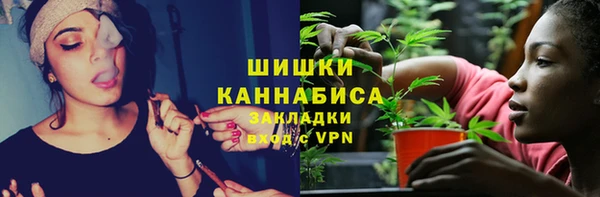 тгк Осташков