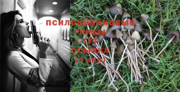 прущие крисы Осинники