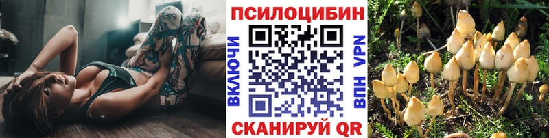 Галлюциногенные грибы GOLDEN TEACHER  blacksprut как зайти  Снежногорск 